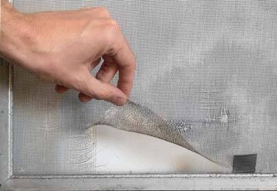 Example of a Torn Screen - Before Screen Repair