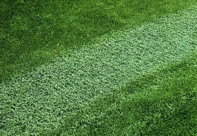 Turf-Melt Prevention